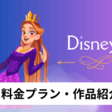 Disney+アイキャッチ